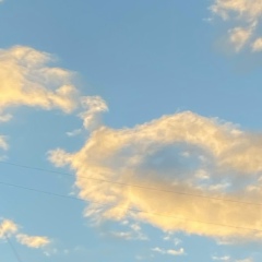 Елена Ромашко, 03.03.1991, Тюмень