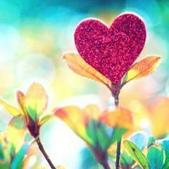 Яна Давлатова, Санкт-Петербург