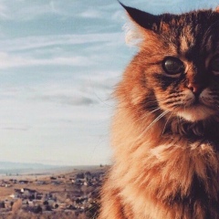 Fatima Dadaeva, 27.04, Грозный