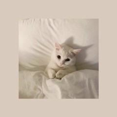 Кирилл Абрамов