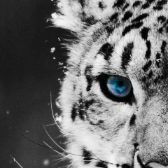 Азамат Сеильханов, 22.02.1995, Алматы