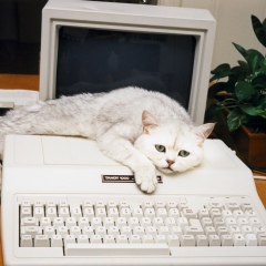 Олег Громов, 08.06.1996