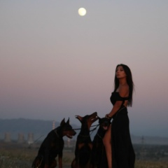 Бану Баратова, Тараз