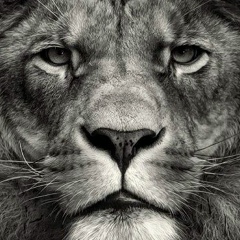 Ян Аликперов, Москва