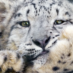 Владимир Захаренко, 26.09.1983, Омск