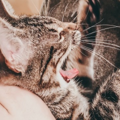 Сергей Медведев