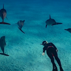 Тамара Львова, 03.01