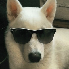 Евгений Пономарев, 28.06.1986, Москва