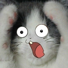 Владимир Иванов, Муравленко