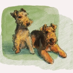 Ян Шунгов, 07.08.1979, Санкт-Петербург