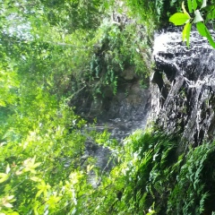 Moe Moe, 17.11.1993, Kyōto