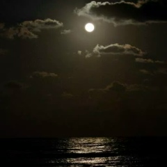 Александр Федоров, 25.02, Seoul