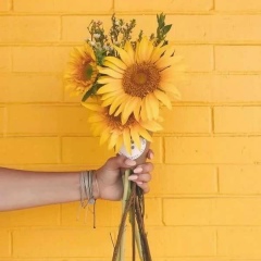 Шынар Джуматаева, 17.02.1988, Алматы