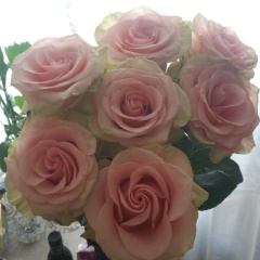 Оксана Пионова, 17.04, Санкт-Петербург