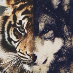 Ігор Лаврынюк, 21.10.1983, Киев