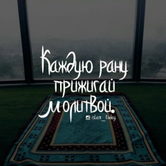 Ислам Шакаев, Шали