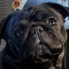 Анна Имхаресс, 11.09.1978, Санкт-Петербург