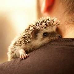 Костя Белых, 04.07, Светлоград