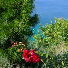 Юлия Четверикова, 15.02, Сургут