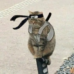 Павел Комаров, 22.08.1986, Москва