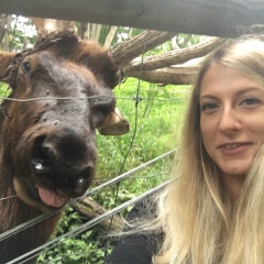 Анастасия Левченко, 29.12, Одесса