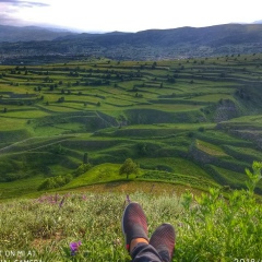 Зайнаб Даудгаджиева