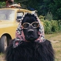 Ольга Беленичева, 16.07.1993, Запорожье