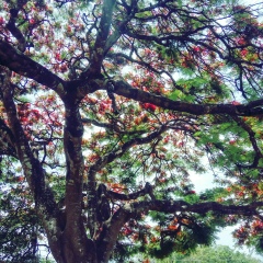 Zawnaing Htun, 14.07.1992