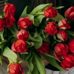 Лидия Коновалова, Санкт-Петербург