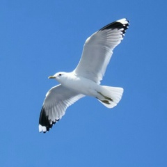 Лариса Тхай, 12.01.1977, Пятигорск