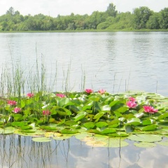 Ксения Овчинникова, 09.08, Санкт-Петербург