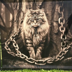 Елена Красных, 25.12, Санкт-Петербург