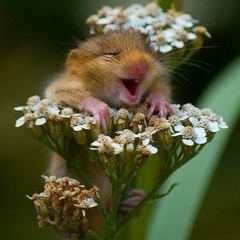 Лариса Ким, 09.08.1980, Москва