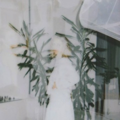 Alisa Gill, Санкт-Петербург