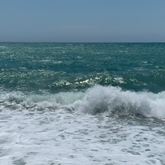 Ольга Банцевич, Москва