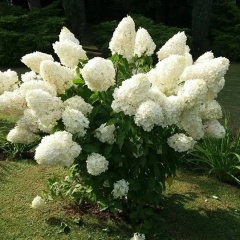 Раиса Куликова, 22.04, Калининград