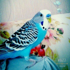 Настя Настюшкина, 11.11, Москва