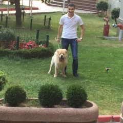 Айдер Асанов, 28.02.1987, Симферополь