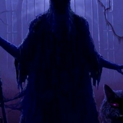 Арсений Хохлов, Санкт-Петербург