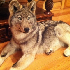 Владимир Саппинен, 22.06.1974, Молоково