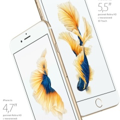 Даниил Смирнов, Кемерово