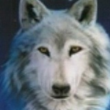 Евгений Алексеев, 23.04, Горно-Алтайск