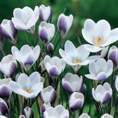 Юлиана Бражник, 25.10, Киев