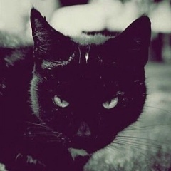 Наби Султанов, 19.12, Махачкала