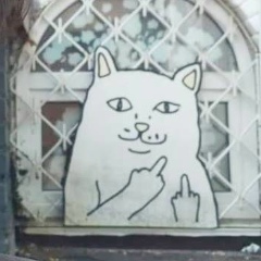 Михаил Самарский, 01.01.1986, Киев