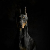 Саша Штурман, Киев