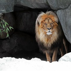 Ismail Baytmurzaev, 31.07, Bad Gastein