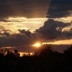 Юлия Шашова, 20.12