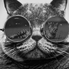 Александр Казимов, 14.09.1985, Москва