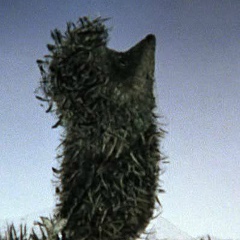 Владимир Веткин, 16.07, Великий Новгород